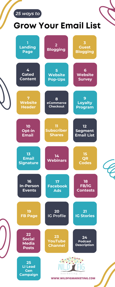 Grow Your Email List Infographic