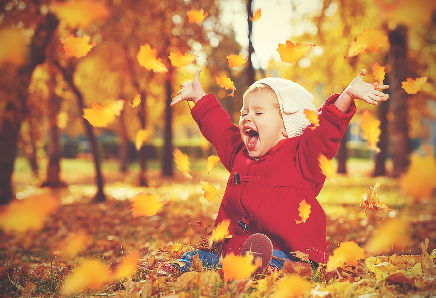 5 Funny Out-of-Office Message Ideas for Your Fall Frolics